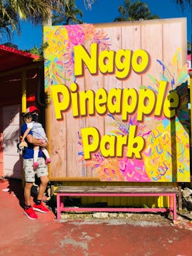 ナゴパイナップルパークに投稿された画像（2021/11/15）