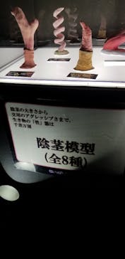 サンシャイン水族館に投稿された画像（2021/11/15）