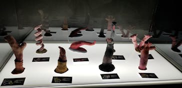 サンシャイン水族館に投稿された画像（2021/11/15）