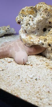 サンシャイン水族館に投稿された画像（2021/11/15）