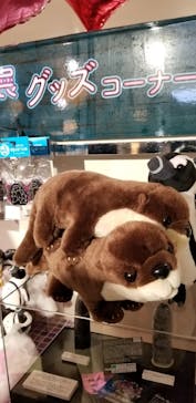 サンシャイン水族館に投稿された画像（2021/11/15）