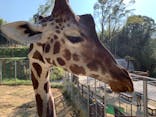 しろとり動物園に投稿された画像（2021/11/15）