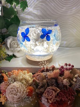 ずこうしつ〜sugamo〜に投稿された画像（2021/11/15）