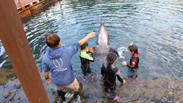 うみたま体験パーク 「つくみイルカ島」に投稿された画像（2021/11/15）