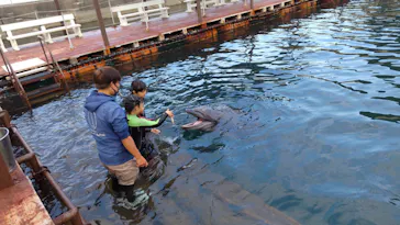 うみたま体験パーク 「つくみイルカ島」に投稿された画像（2021/11/15）