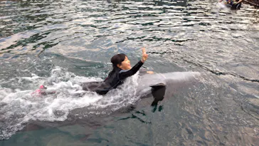 うみたま体験パーク 「つくみイルカ島」に投稿された画像（2021/11/15）