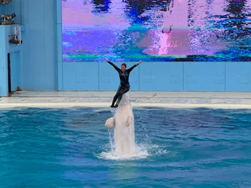 横浜・八景島シーパラダイスに投稿された画像（2021/11/15）