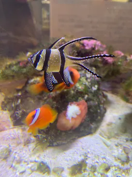 横浜・八景島シーパラダイスに投稿された画像（2021/11/15）