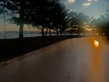 横浜・八景島シーパラダイスに投稿された画像（2021/11/15）