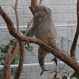 淡路ファームパーク イングランドの丘に投稿された画像（2021/11/16）