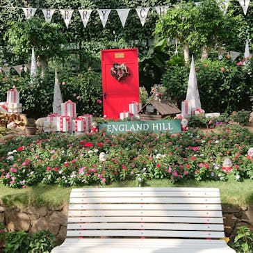 淡路ファームパーク イングランドの丘に投稿された画像（2021/11/15）