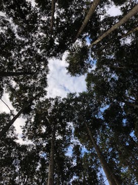 アドベンチャーパーク　オドルの森に投稿された画像（2021/11/15）