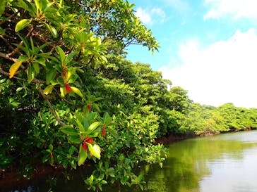 石垣島 ADVENTURE PiPi（イシガキジマアドベンチャーピピ）に投稿された画像（2021/11/15）