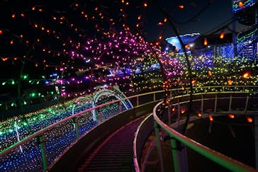 伊豆ぐらんぱる公園に投稿された画像（2021/11/15）