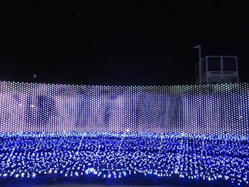 東京メガイルミに投稿された画像（2021/11/16）