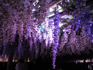 東京メガイルミに投稿された画像（2021/11/16）