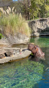 天王寺動物園に投稿された画像（2021/11/16）