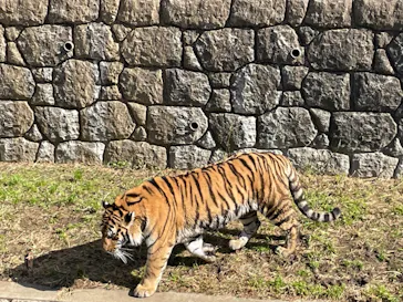 天王寺動物園に投稿された画像（2021/11/16）