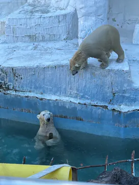 天王寺動物園に投稿された画像（2021/11/16）