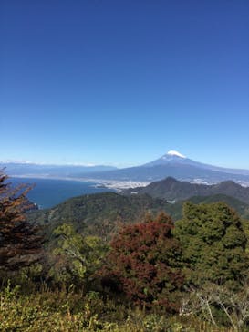 伊豆パノラマパークに投稿された画像（2021/11/16）