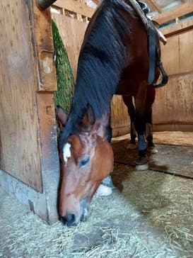 マリンズステーブルに投稿された画像（2021/11/16）