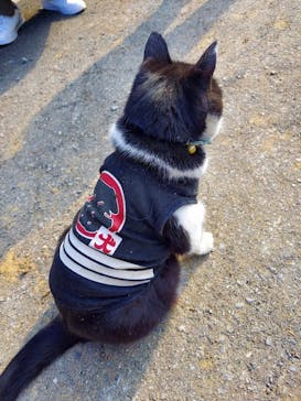 マリンズステーブルに投稿された画像（2021/11/16）