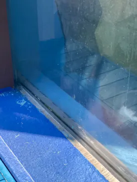 ゼロ距離水族館 伊勢シーパラダイスに投稿された画像（2021/11/16）