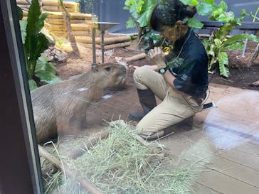 カワスイ 川崎⽔族館に投稿された画像（2021/11/16）