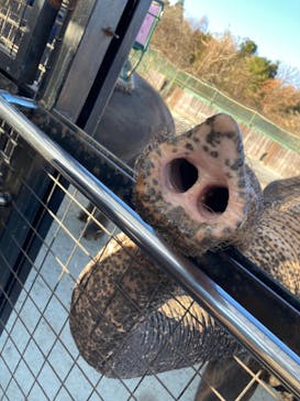 那須サファリパークに投稿された画像（2021/11/16）