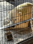 旭川市旭山動物園に投稿された画像（2021/11/16）