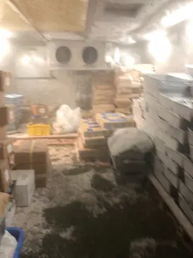 横浜・八景島シーパラダイスに投稿された画像（2021/11/16）