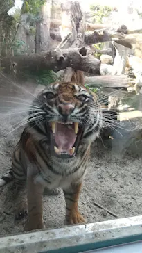 神戸どうぶつ王国に投稿された画像（2021/11/16）