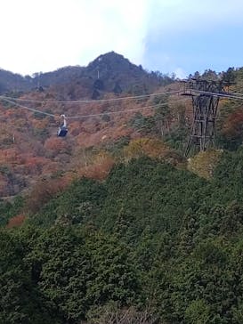 びわ湖バレイに投稿された画像（2021/11/16）