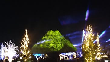 東京メガイルミに投稿された画像（2021/11/16）