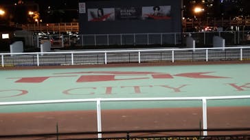 東京メガイルミに投稿された画像（2021/11/16）