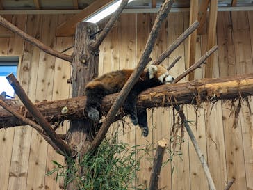 伊豆シャボテン動物公園に投稿された画像（2021/11/16）