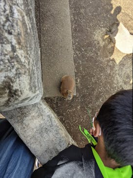 伊豆シャボテン動物公園に投稿された画像（2021/11/16）