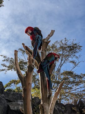 伊豆シャボテン動物公園に投稿された画像（2021/11/16）