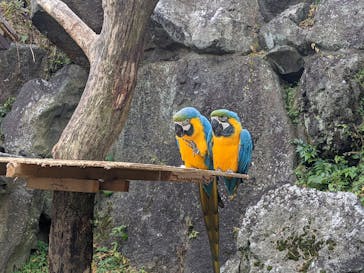 伊豆シャボテン動物公園に投稿された画像（2021/11/16）