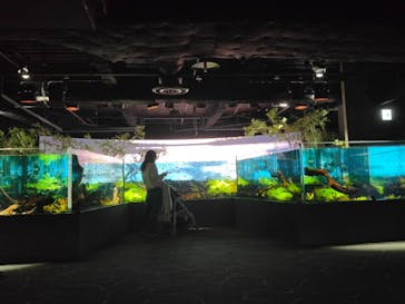 カワスイ 川崎⽔族館に投稿された画像（2021/11/16）