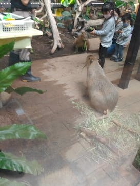 カワスイ 川崎⽔族館に投稿された画像（2021/11/16）