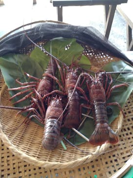 海女小屋はちまんかまどに投稿された画像（2021/11/16）