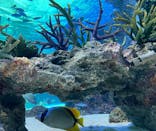 サンシャイン水族館に投稿された画像（2021/11/17）