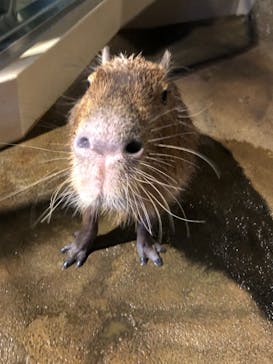 マクセル アクアパーク品川に投稿された画像（2021/11/16）