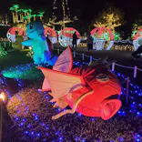 美らヤシパークオキナワ・東南植物楽園に投稿された画像（2021/11/17）