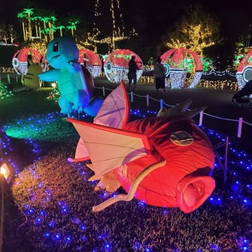 美らヤシパークオキナワ・東南植物楽園に投稿された画像（2021/11/16）