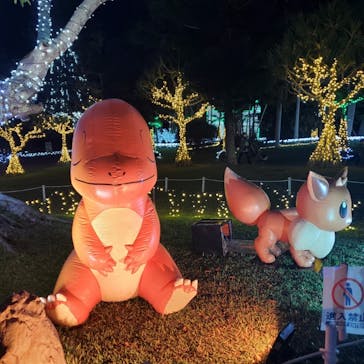 美らヤシパークオキナワ・東南植物楽園に投稿された画像（2021/11/16）