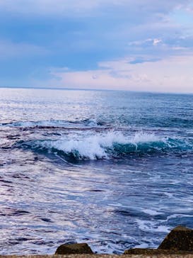 東尋坊観光遊覧船株式会社に投稿された画像（2021/11/17）