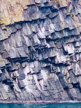 東尋坊観光遊覧船株式会社に投稿された画像（2021/11/17）