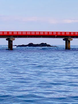 東尋坊観光遊覧船株式会社に投稿された画像（2021/11/17）